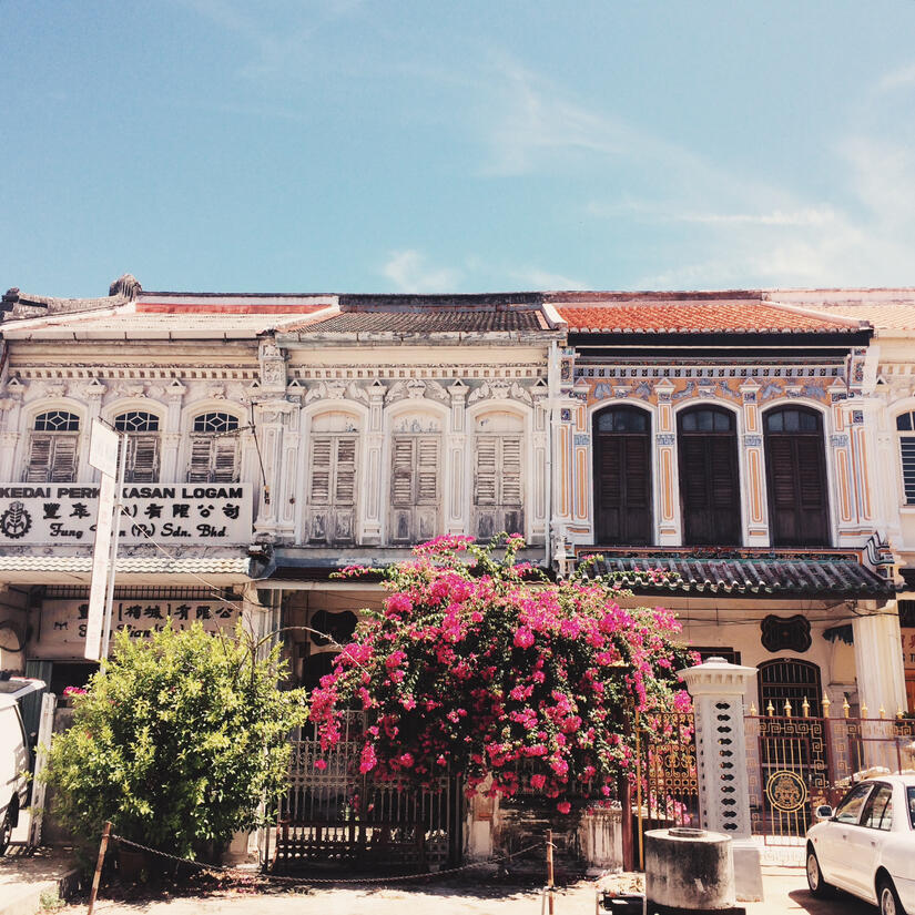 a pink blooming bougainvillea bush in front of a row of colonial houses in george town, penang, , by tayylin.com
